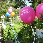 Ilmapallosetti pinkki 5 x 30 cm konfetti- ja happy birthday-pallot