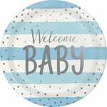 Blue and Silver Paper Dinner Plates Welcome Baby Foil