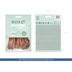 Eco ilmapallo 30 cm misty rose