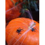 Muoviset pikkuhämähäkit, musta 10 kpl/pkt
