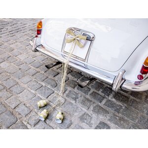 Car decoration kit - Bows