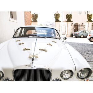 Car decoration kit - Bows