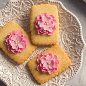 Decora KIT 5 CUTTERS WILD ROSE