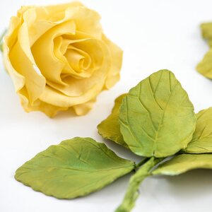 Decora KIT	7	CUTTERS	ROSE