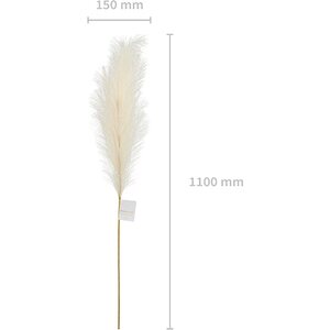 Pampas grass artificial, light cream, 10x45cm