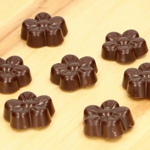 FunCakes suklaamuotti flower