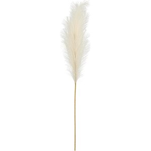 Pampas-heinä vaalea kerma 15 x 110 cm