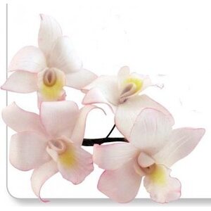 PME JEM singapore orkidea -koristelumuotit