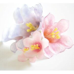 Decora petuniamuotti 5 kpl/pkt