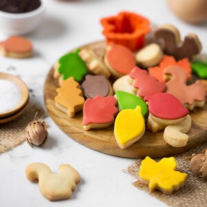 Decora AUTUMN LEAVES MINI PLASTIC COOKIE CUTTERS SET OF 6