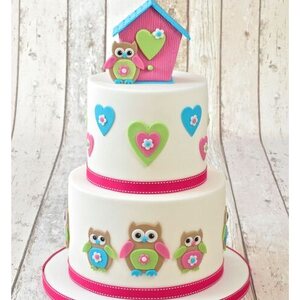 FMM FMM Mummy & Baby Owl Cutter Set/4