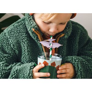 Straws Pterodactyl, 19.5 cm, mix 1pkt/6pc.