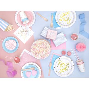 Plates Boy or Girl, 23 cm. 1pkt/6pc