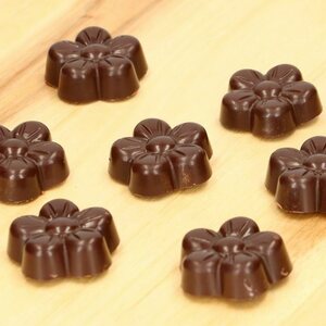 FunCakes suklaamuotti flower