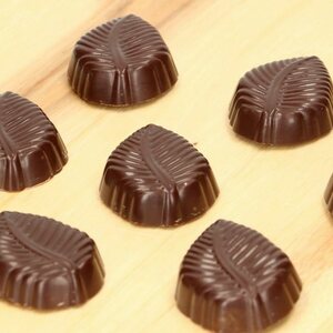 FunCakes suklaamuotti leaf