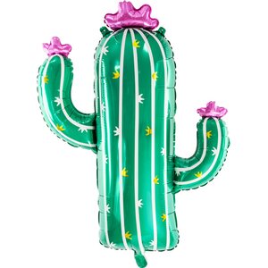 Muotofolio Kaktus, 60 x 82 cm