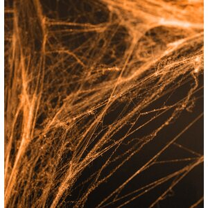 Hämähäkinseitti Halloween, oranssi, 60g