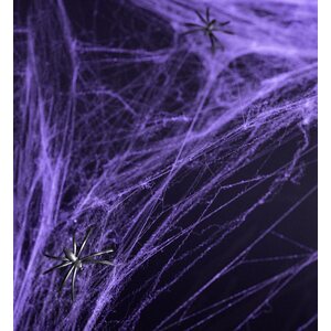 Hämähäkinseitti Halloween, violetti, 60g