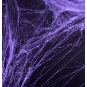 Hämähäkinseitti Halloween, violetti, 60g